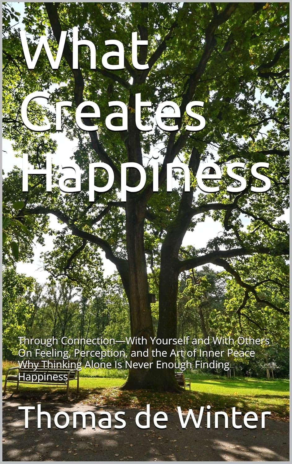 Book cover of What Creates Happiness